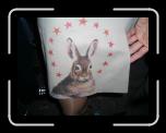 2004-04-11-245 * 1600 x 1200 * (585KB)